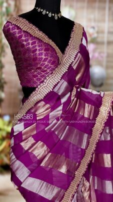 Pure Organza By Tissue Sarees (16)