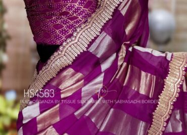 Pure Organza By Tissue Sarees (16)