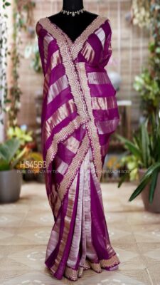 Pure Organza By Tissue Sarees (18)