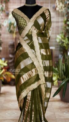 Pure Organza By Tissue Sarees (21)