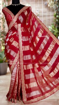 Pure Organza By Tissue Sarees (3)