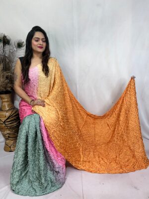 Pemium Modal Silk Allover Bandini Sarees (4)