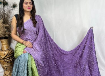 Pemium Modal Silk Allover Bandini Sarees (9)